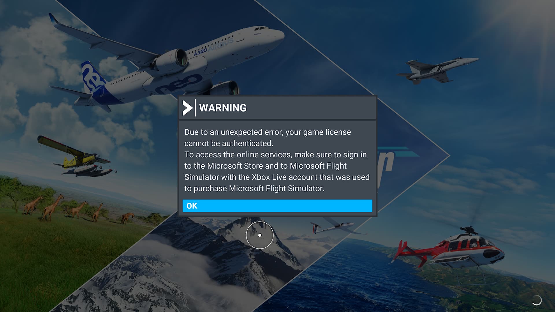 Regular Person Tries Flying After Playing Microsoft Flight Sim