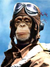 monkey_pilot1