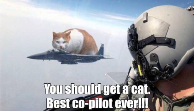 Kittysplittypilotbitty