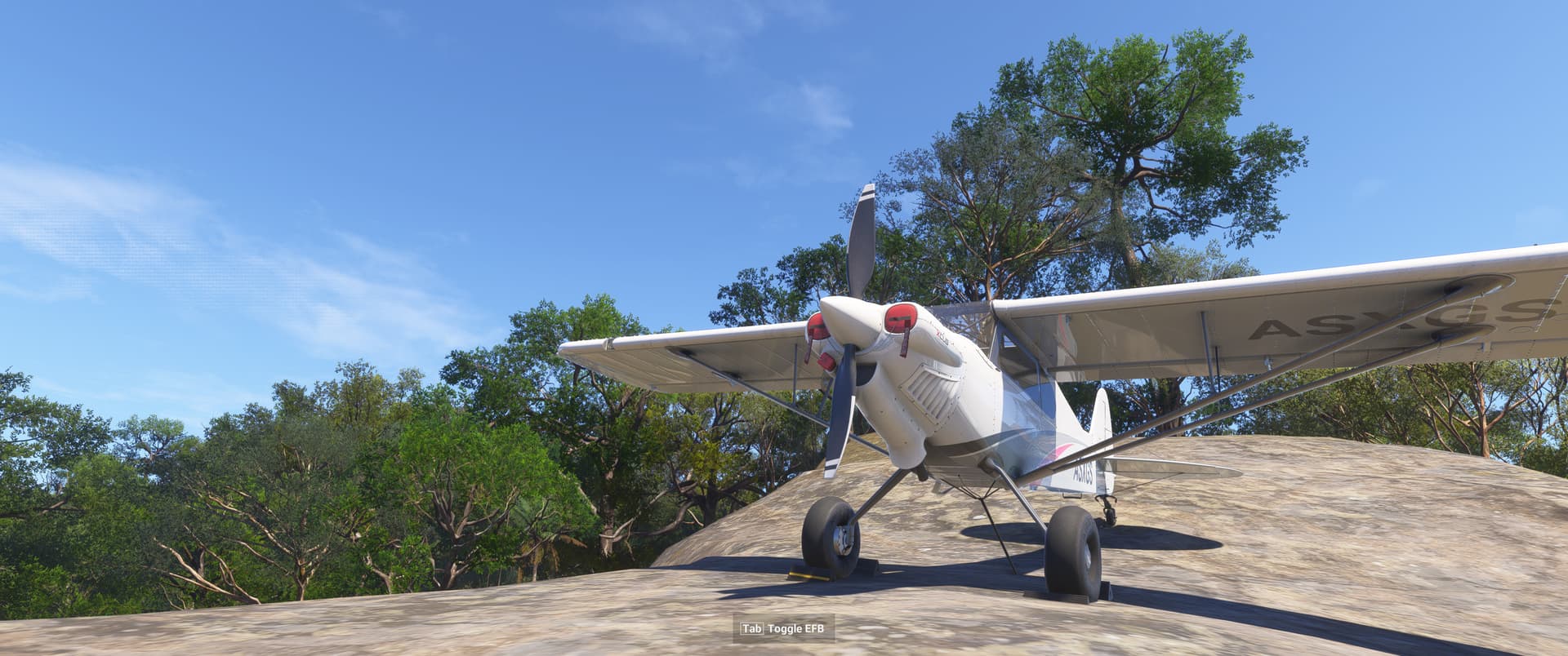 [2024 Tech Alpha] MSFS 2024 Insider Program in October Join Now