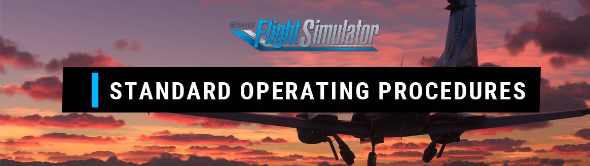 Microsoft Flight Simulator - Standard