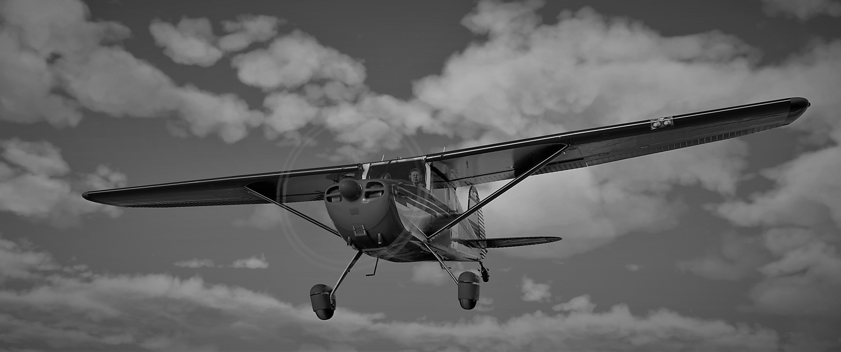 New Release: Carenado Cessna C170B - #32 by hobanagerik - Aircraft ...